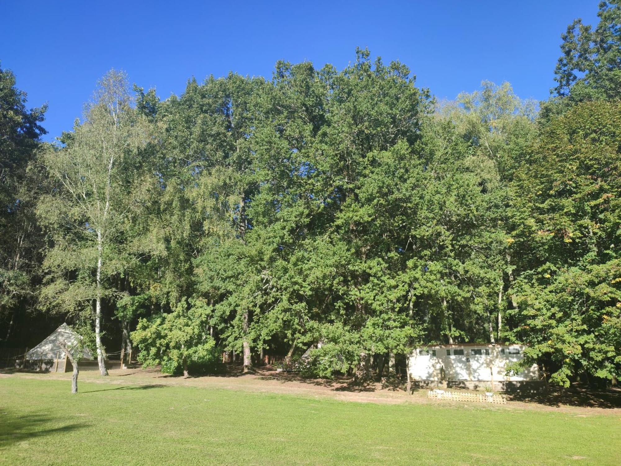 Camping Sous Les Belles Etoiles Peyrilhac ภายนอก รูปภาพ